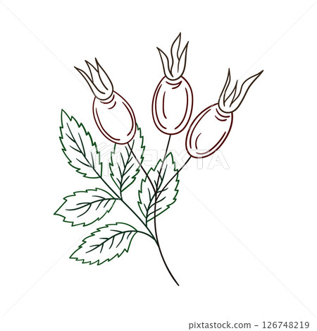 Illustration in hand draw style. Icon, sign, sticker, pin, logo 126748219