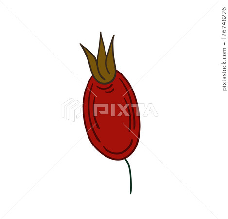 Illustration in hand draw style. Icon, sign, sticker, pin, logo 126748226
