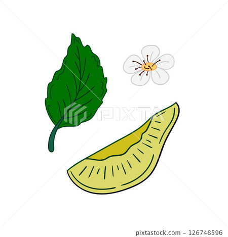 Illustration in hand draw style. Icon, sign, sticker, pin, logo Illustration in hand draw style. Icon, sign, sticker, pin, logo 126748596