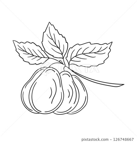 Illustration in hand draw style. Icon, sign, sticker, pin, logo 126748667