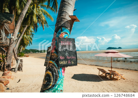 Beware of Coconuts Warning Sign on Tropical Beach,Seaside Alert 126748684