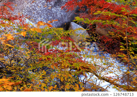 Autumn foliage at the source of the Arakawa River, Shosenkyo, a national special scenic spot 126748713