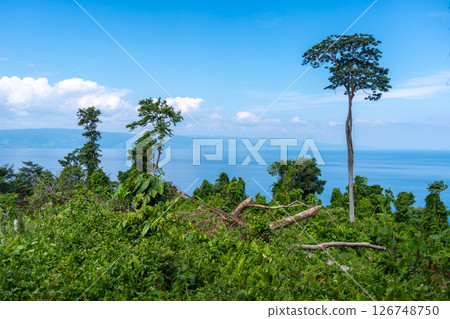 Panoramic view of Lake Poso in Tentena, Sulawesi, Indonesia 126748750