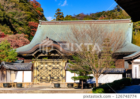 Kamakura: Karamon Gate of Kencho Kokukoku Zenji Temple 126748774