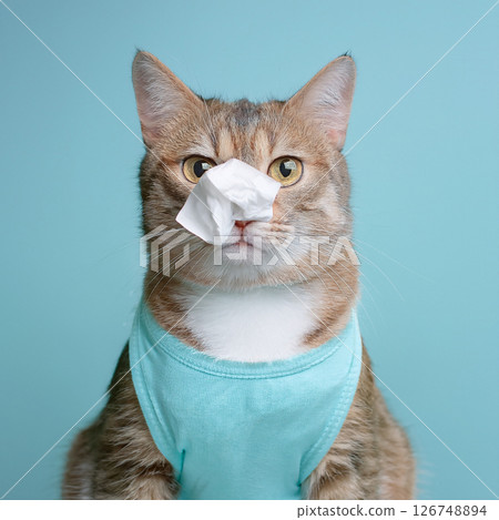 患有花粉症的貓 126748894