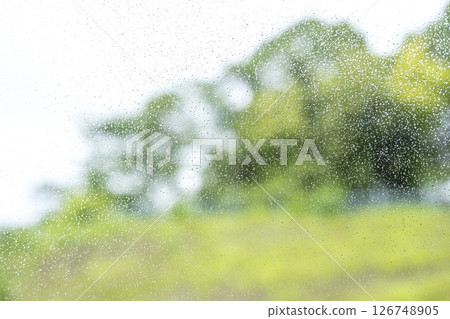 下雨天 公園 森林 山 雨季 初夏 天氣 雨 五月 六月 下雨天 公園 森林 山 雨季 初夏 天氣 雨 五月 六月 126748905