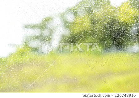 下雨天 公園 森林 山 雨季 初夏 天氣 雨 五月 六月 126748910