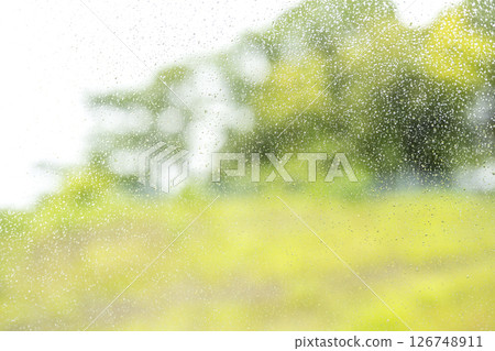 Rainy day Park Forest Mountain Rainy season Early summer Weather Rain May June Rainy day Park Forest Mountain Rainy season Early summer Weather Rain May June 126748911