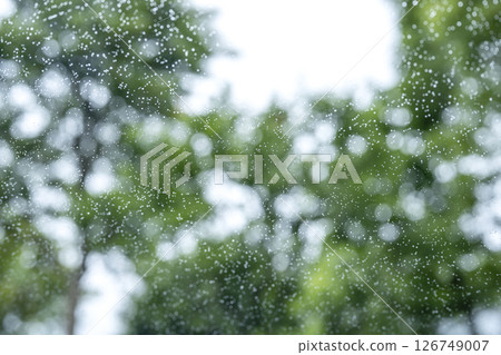 下雨天 公園 森林 山 雨季 初夏 天氣 雨 五月 六月 126749007