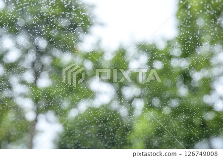 Rainy day Park Forest Mountain Rainy season Early summer Weather Rain May June Rainy day Park Forest Mountain Rainy season Early summer Weather Rain May June 126749008