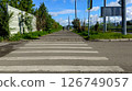 Pedestrian crossing on asphalt road, urban journey. Safe crossing point provides peaceful urban  126749057