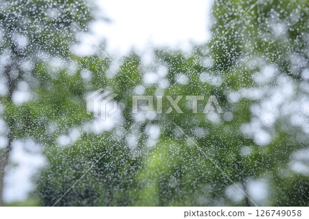 下雨天 公園 森林 山 雨季 初夏 天氣 雨 五月 六月 126749058