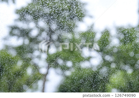 下雨天 公園 森林 山 雨季 初夏 天氣 雨 五月 六月 下雨天 公園 森林 山 雨季 初夏 天氣 雨 五月 六月 126749090