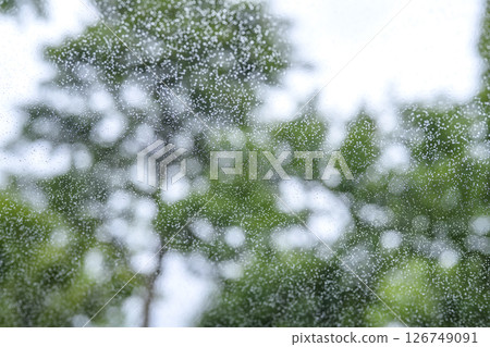 下雨天 公園 森林 山 雨季 初夏 天氣 雨 五月 六月 下雨天 公園 森林 山 雨季 初夏 天氣 雨 五月 六月 126749091