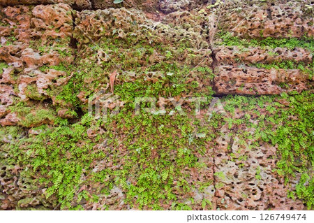 Preah Khan Ruins Cambodia 1 126749474