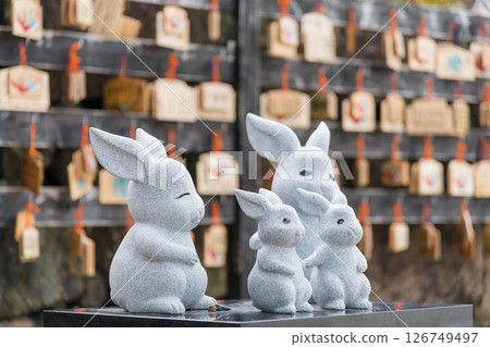 [Izumo Taisha White Rabbit] 126749497