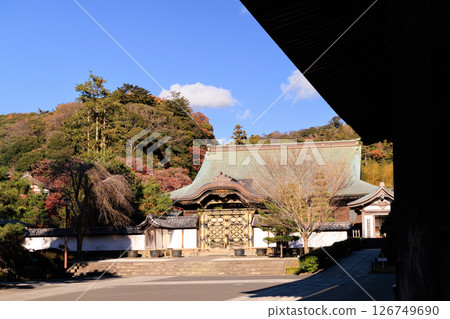 Kamakura: Karamon Gate of Kencho Kokukoku Zenji Temple 126749690