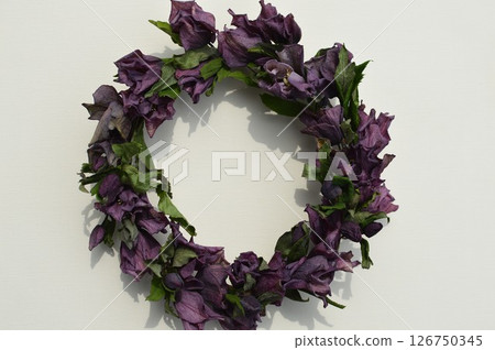 Christmas rose dried flower wreath 126750345