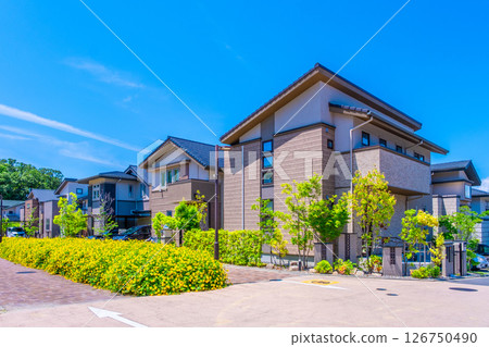 Quiet residential area without utility poles Quiet residential area without utility poles 126750490