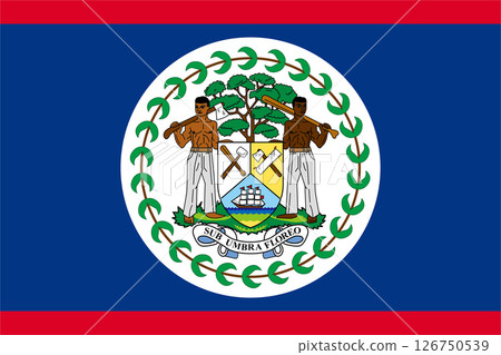 Belize flag 126750539