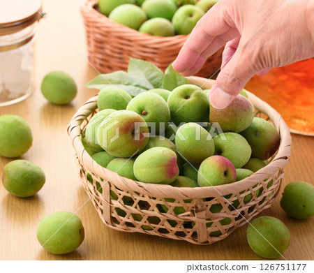 青梅(紀州南高梅) 青梅(紀州南高梅) 126751177