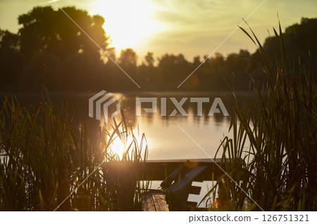 Beautiful evening landscape of the lake and vegetation around it. 126751321