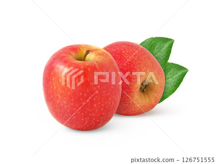 Two pink apples with leaf isolated. Red apple with leaves. Two pink apples with leaf isolated. Red apple with leaves. 126751555