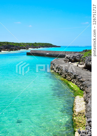 Yoron Island Terasaki Fishing Port Yoron Island Terasaki Fishing Port 126751717