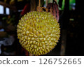 Discovering the Exotic Durian Fruit Hanging Appealingly at the Local Market Stall 126752665
