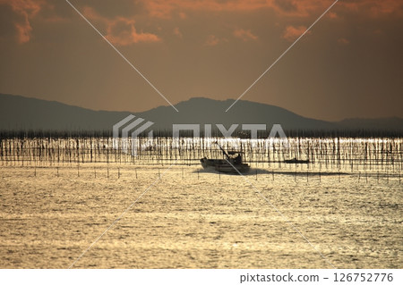 Omuta City Ariake Sea Nori field, Omuta City Ariake Sea Nori field, 126752776