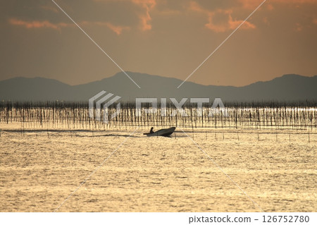 Omuta City Ariake Sea Nori field, Omuta City Ariake Sea Nori field, 126752780