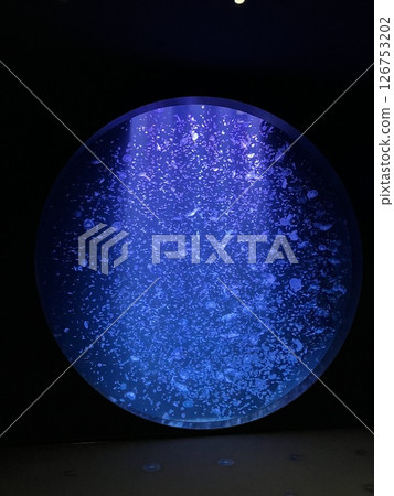 Kamo Aquarium Jellyfish Dome 126753202