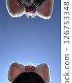 Girl doll with blue sky background 126753348