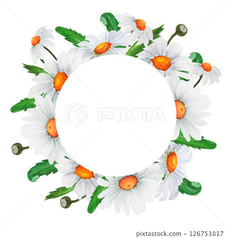 Watercolor round frame of chamomile and herbs. Design of greeting cards, invitations 126753817