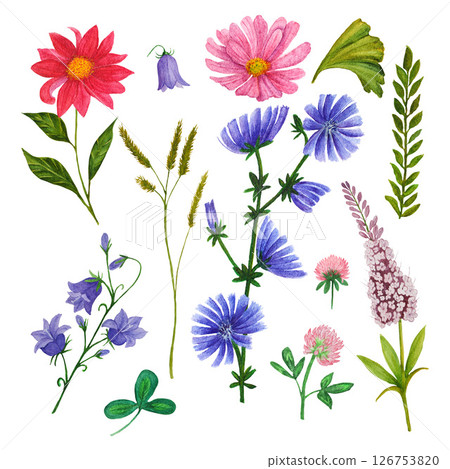 Watercolor illustration of hand painted colorful wildflowers and botanical greenery. Design for invitation, cards, textile 126753820
