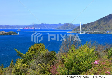 [Ehime Prefecture] Spring cherry blossoms bloom at Hakatajima Kaizan Park and Tatara Bridge (Shimanami Kaido) 126754205