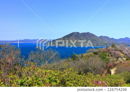 [Ehime Prefecture] Spring cherry blossoms bloom at Hakatajima Kaizan Park and Tatara Bridge (Shimanami Kaido) 126754206