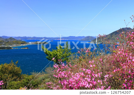 [Ehime Prefecture] Spring cherry blossoms bloom at Hakatajima Kaizan Park and Tatara Bridge (Shimanami Kaido) 126754207