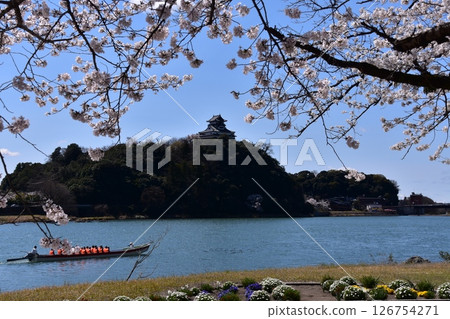 Inuyama City, Aichi Prefecture, Japan: Inuyama Castle in spring and cherry blossoms in full bloom, a sightseeing boat on the Kiso River, a beautiful blue sky and flower beds Inuyama City, Aichi Prefecture, Japan: Inuyama Castle in spring and cherry blossoms in full bloom, a sightseeing boat on the Kiso River, a beautiful blue sky and flower beds 126754271