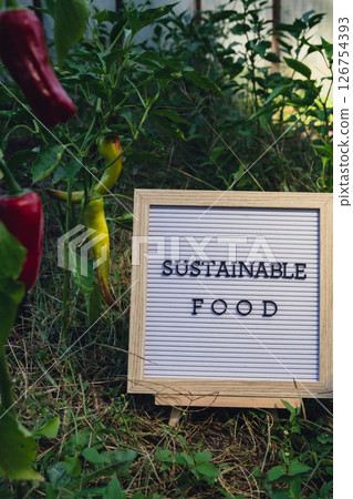 Letter board with text SUSTAINABLE FOOD on background of garden bed with bell pepper. Organic farming, produce local vegetables concept. Supporting local farmers 126754393