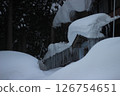 Gokayama Gymnasium building 126754651