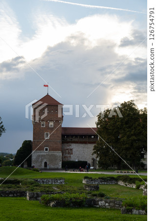 Summer view of Wawel Royal Castle in Krakow, Poland. Historical place in Poland. Flowers on foreground. Beautiful sightseeing with Wawel Royal Castle and colorful flowers in Krakow, Poland 126754791