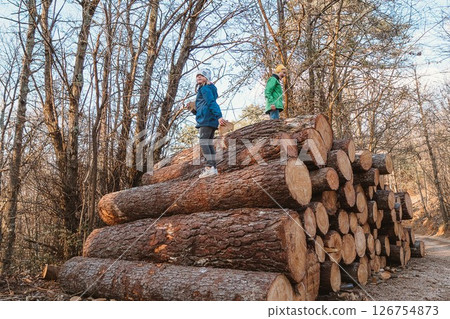 Children Climbing on Stacked Logs in Forest Adventure 126754873