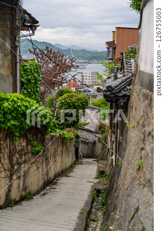 <Hiroshima Prefecture> Onomichi, a hilly town 126755003
