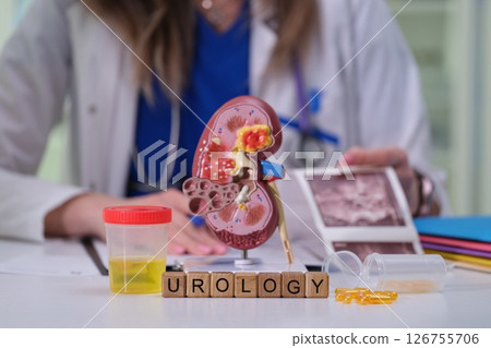 Comprehensive Urology Consultation featuring Kidney Model and Clinical Samples for Analysis 126755706
