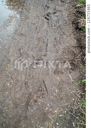 Muddy ground after the rain Muddy ground after the rain 126755865