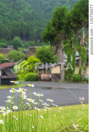 Scenery of Miyama Kayabuki Village, Kyoto Scenery of Miyama Kayabuki Village, Kyoto 126756077