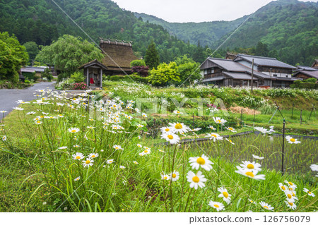 京都美山茅吹村風景 126756079