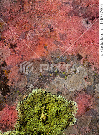 lichen green on red rock texture nature lichen green on red rock texture nature 126757406