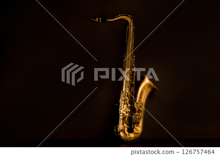 Sax golden tenor saxophone in black 126757464